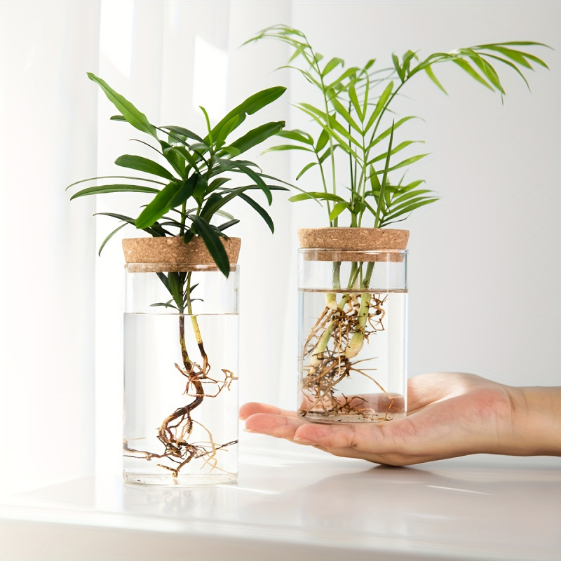 Plant Growth Regulator - 1szt, hydroponika rośliny pulpit szklany wazon