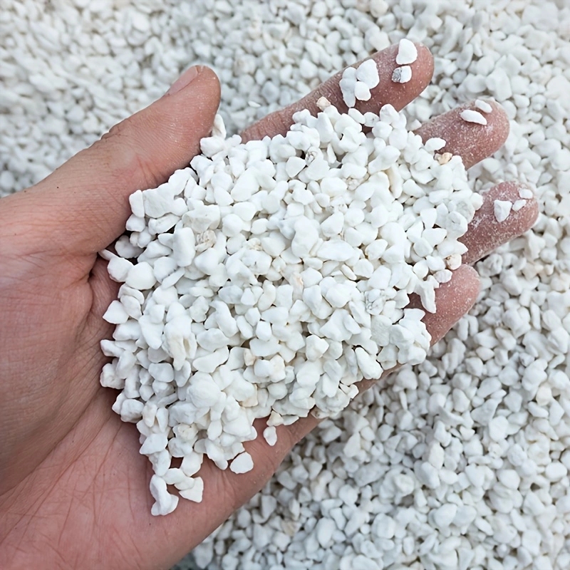 Horticulture Soil Perlite - 1 Opakowanie perlitu ogrodniczego 3-6mm do