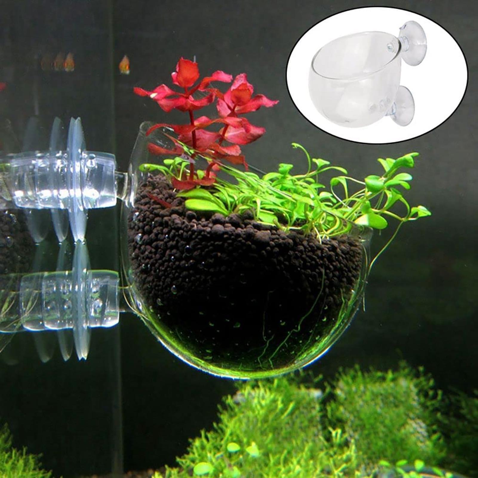Plant Growth Regulator - Akrylowa doniczka na rośliny wodne z