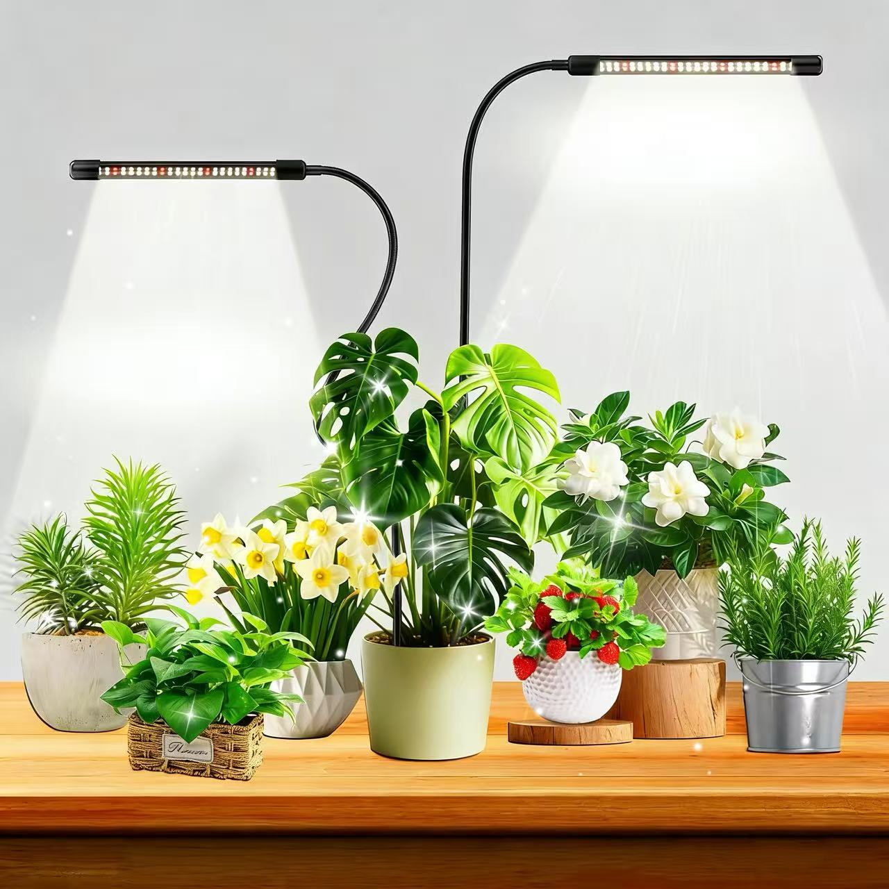 Plant Growth Regulator - Lampy do uprawy roślin w pomieszczeniach