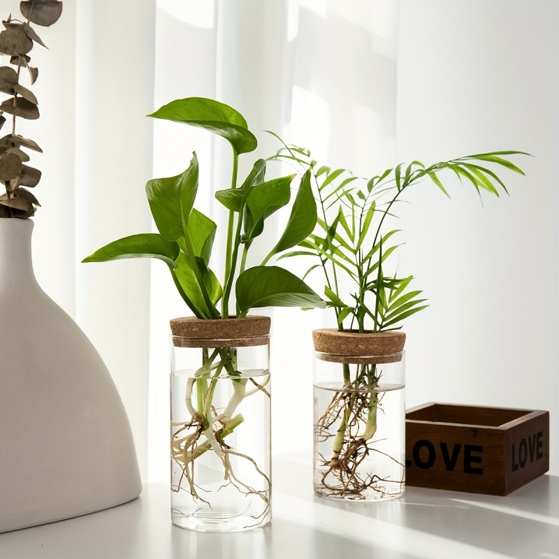 1szt, hydroponika rośliny pulp – Plant Growth Regulator recenzja i cena