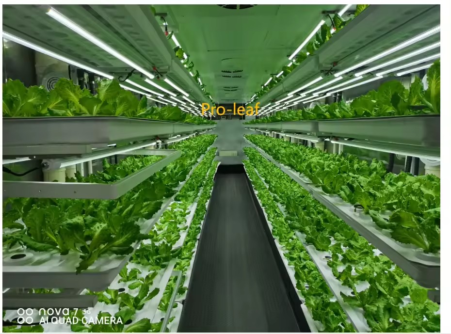 System hydroponiczny wieżowy d – Agriculture Farming Equipments recenzja i cena