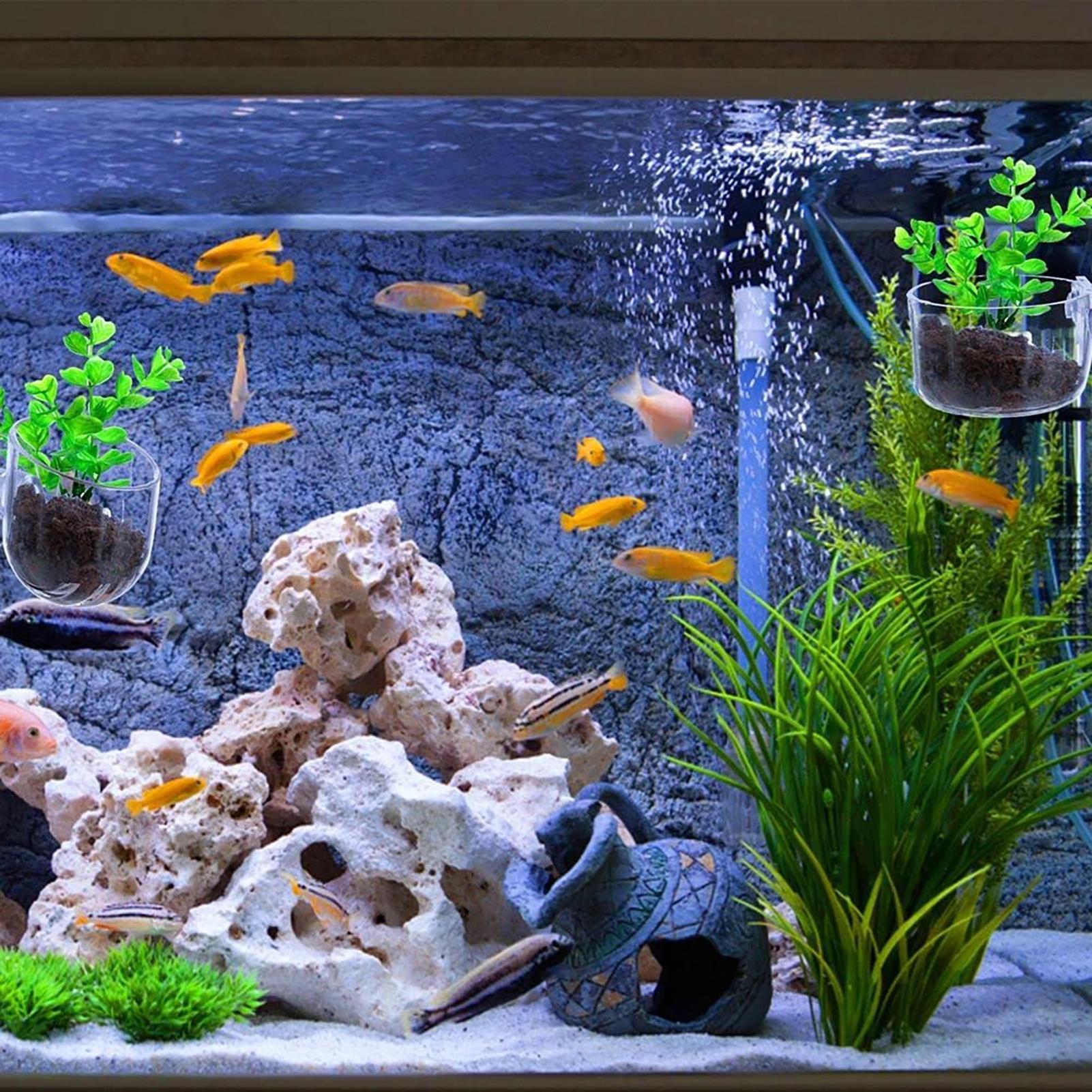 Akrylowa doniczka na rośliny w – Plant Growth Regulator recenzja i cena