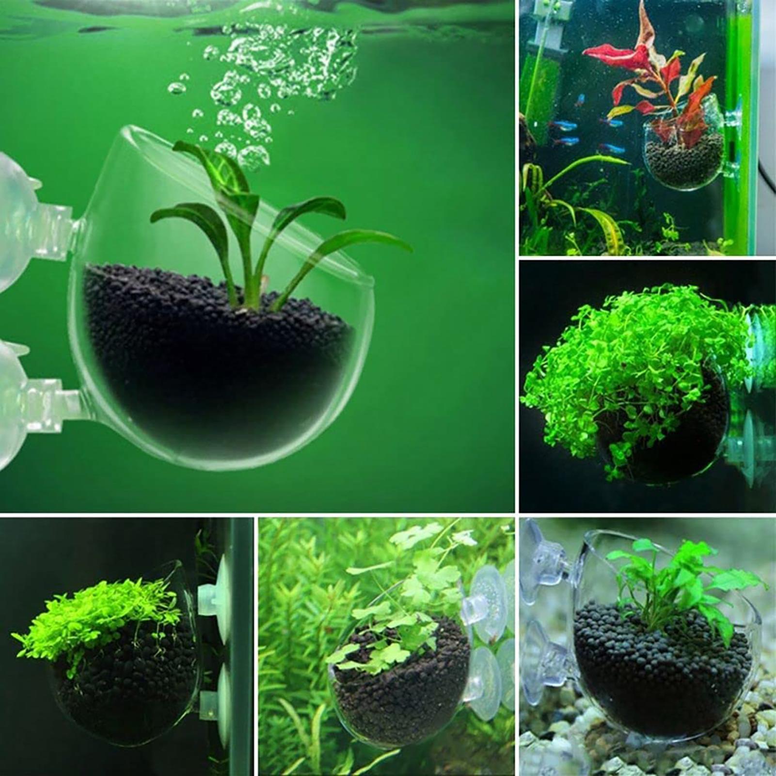 Akrylowe doniczki na rośliny w – Plant Growth Regulator recenzja i cena