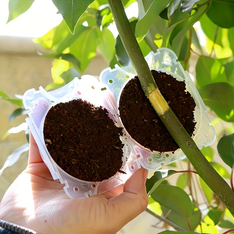 Zestaw do rozmnażania roślin 1 – Plant Growth Regulator recenzja i cena